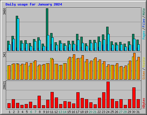 Daily usage for January 2024