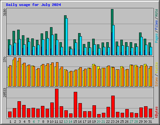 Daily usage for July 2024